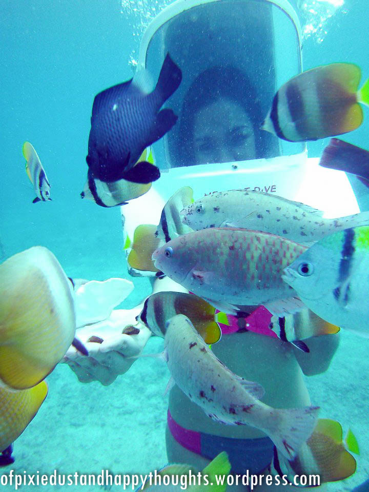 boracay-island-activities-helmet-diving-reefwalking