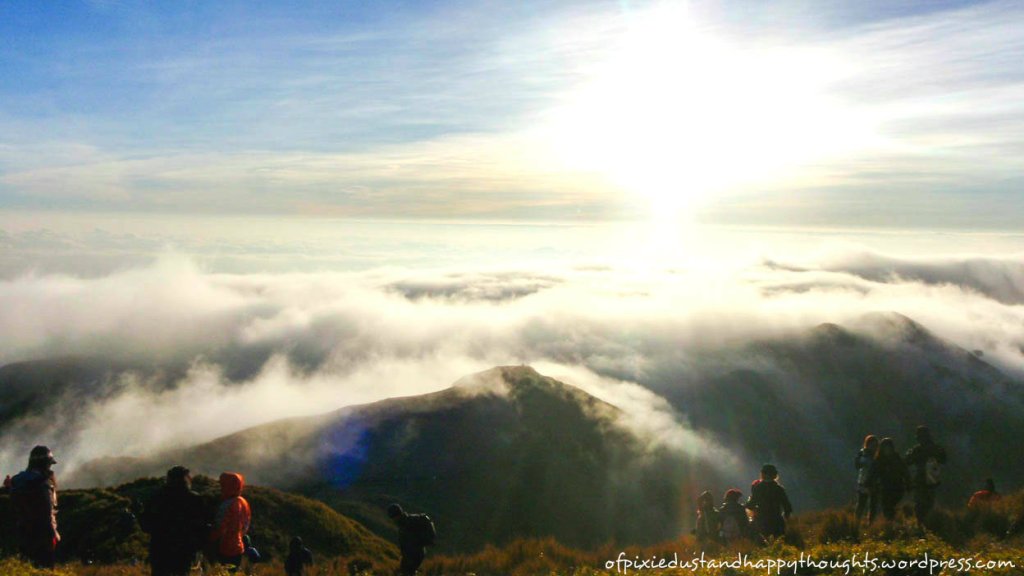 Mt Pulag summit