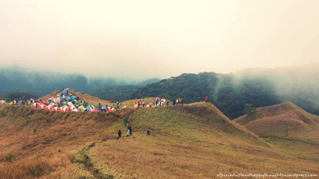 View of the cramped camping grounds from the junior summit.