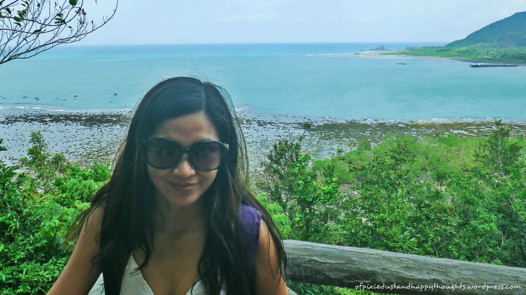 diguisit-bay-view-baler