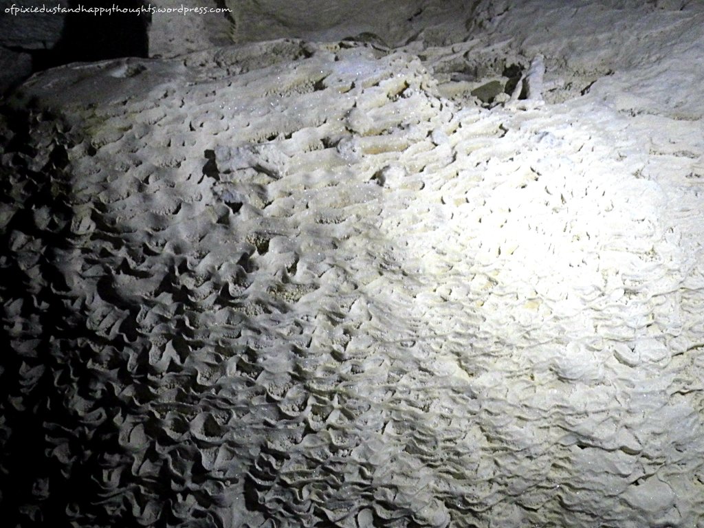 Seashell-like formation in the cave. It sparkles too.