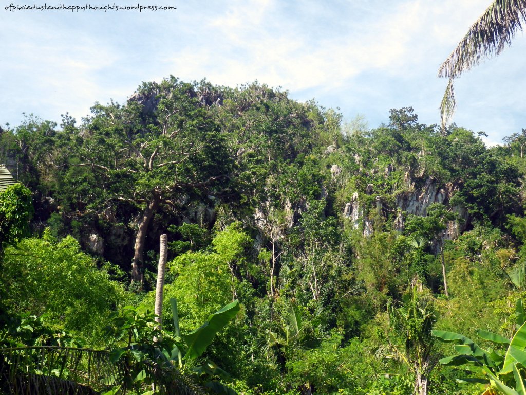 That's where we came from!