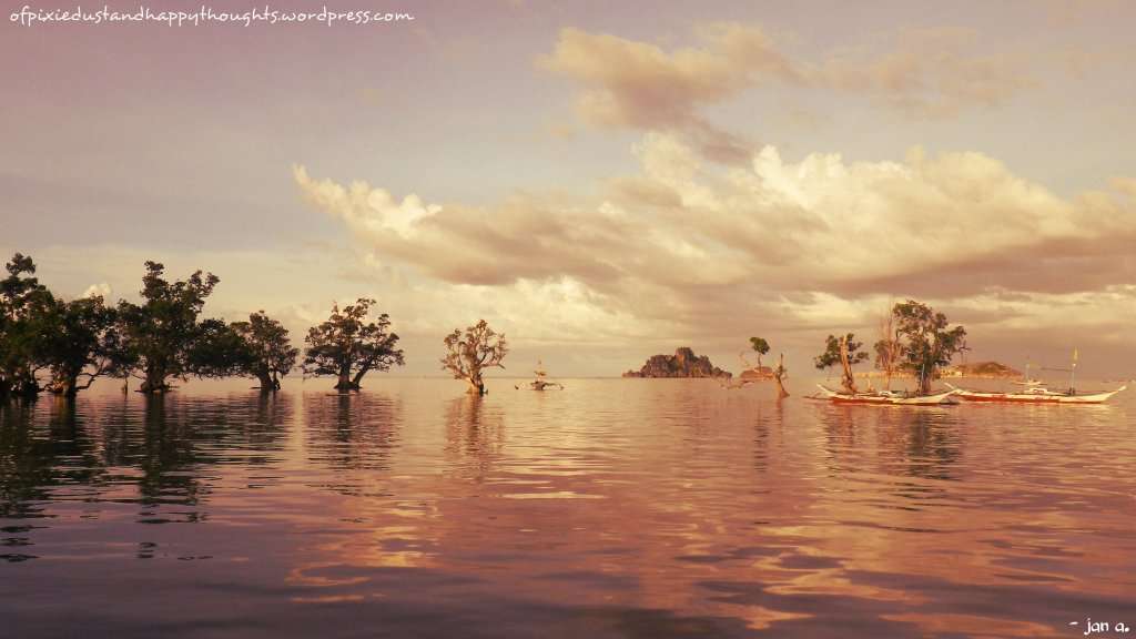 isla-gigantes-carles-iloilo-travel