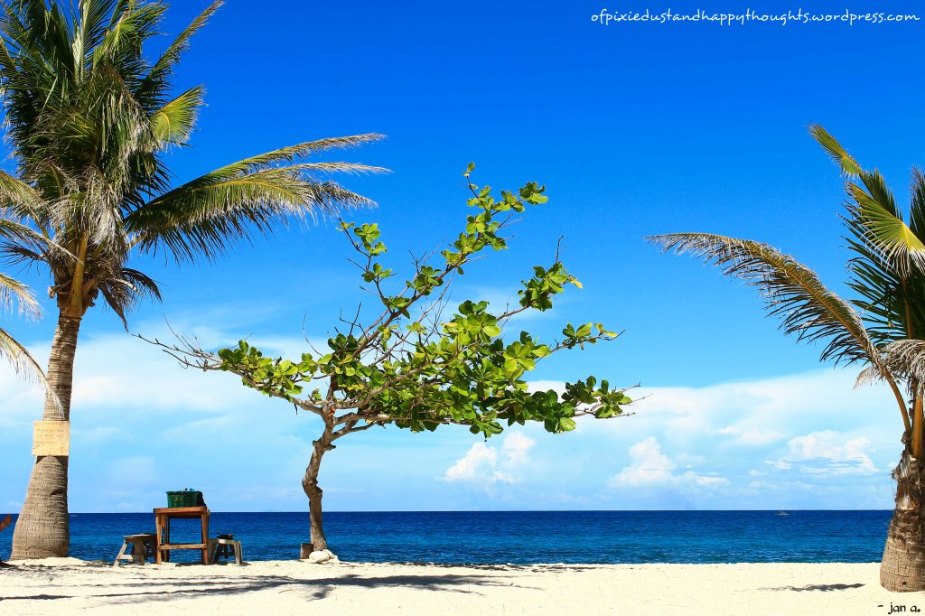 There are more trees in the area than in Cabugao Island.