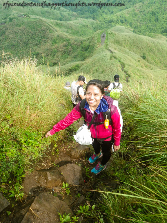 Part of the new trail. Going down.