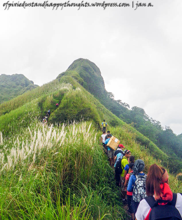 Mt. Batulao has very steep trails. Some have 60-70 degrees ascent.
