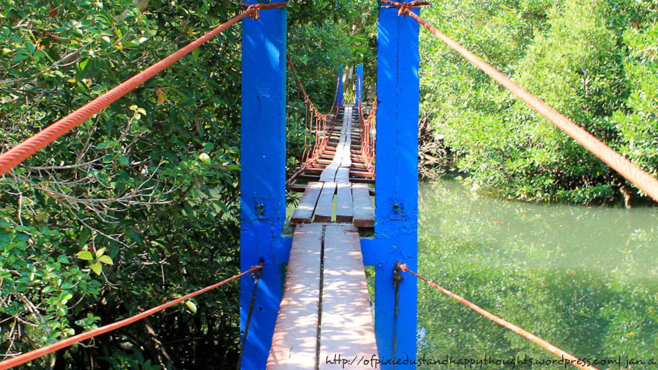 the "hanging bridge" along the way to the falls