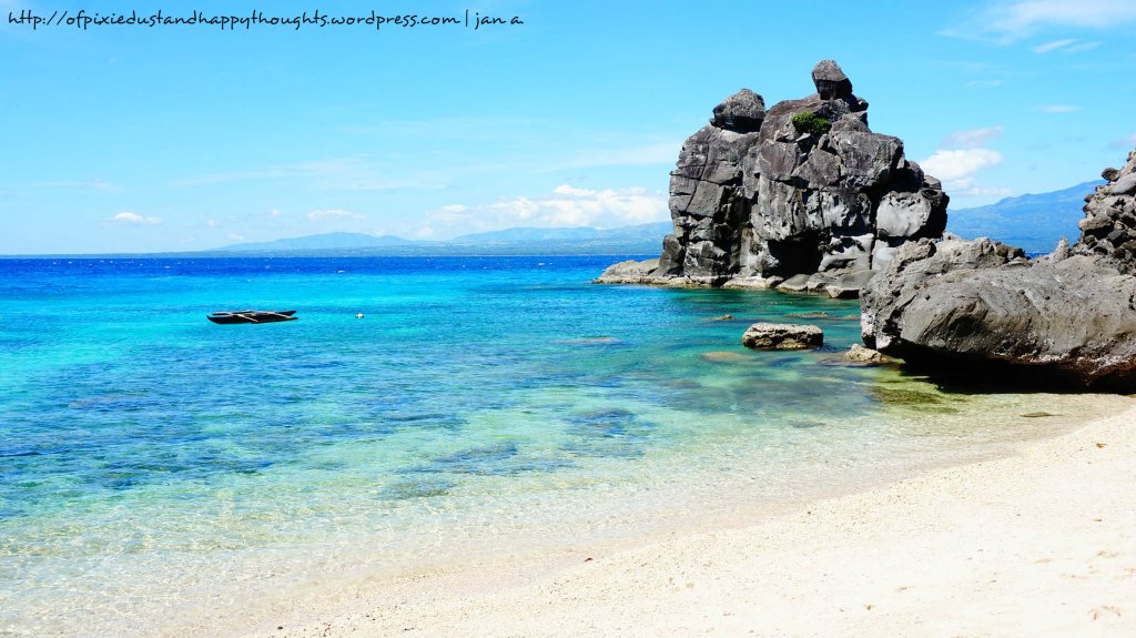 The beautiful side of Apo Island