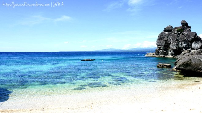 apo-island-dumaguete-beach-travel