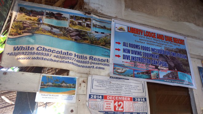 There are several resorts on Apo Island if you wish to stay there for a couple of nights during your trip.