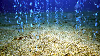 Photo not mine. Our underwater camera was already broken this time so we weren't able to take a shot of the bubbles.