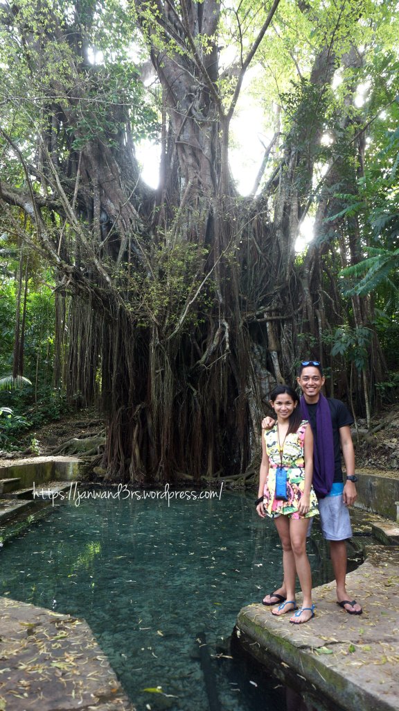 balete-tree-pool-siquijor