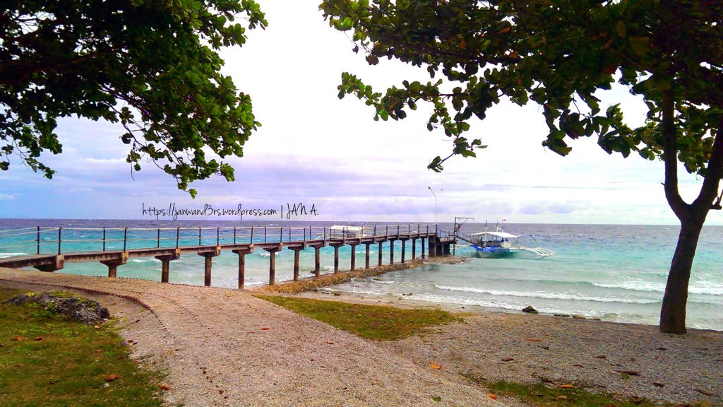 bancogon-port-oslob-bluewater-sumilon-resort