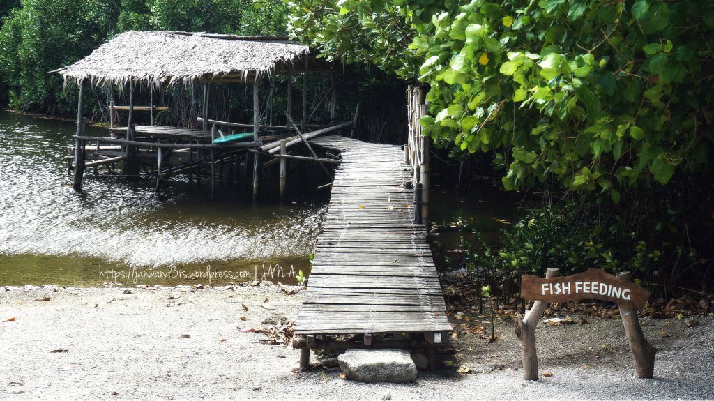 fish-feeding-bluewater-sumilon-isand-resort-day-tour-activities