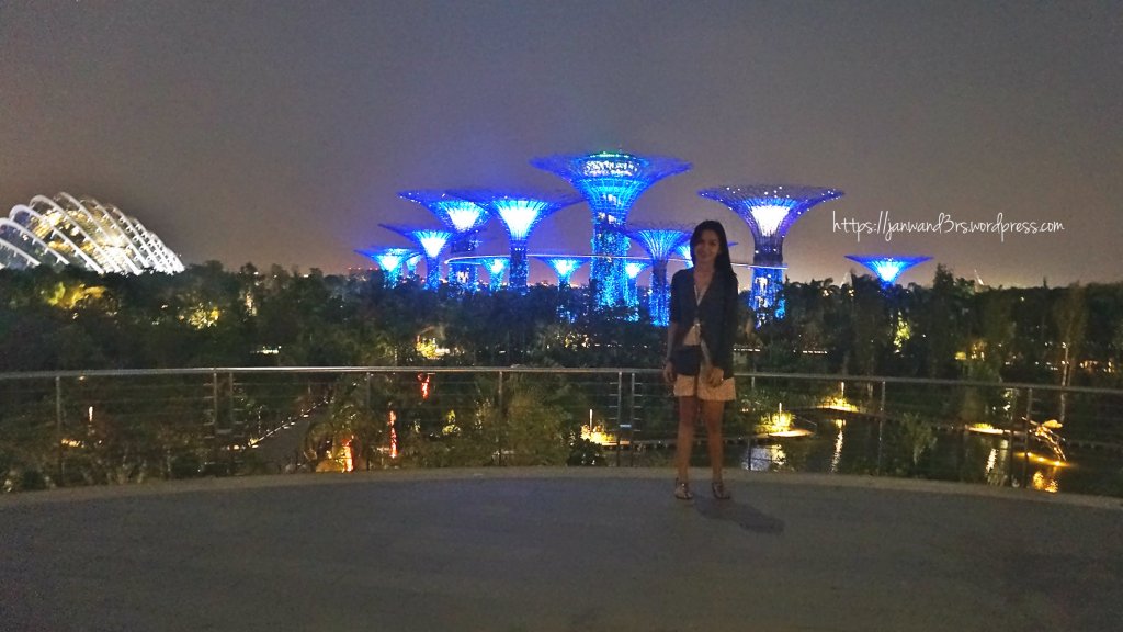 at my friend's fave spot for watching the lights & sound show of Gardens by the Bay