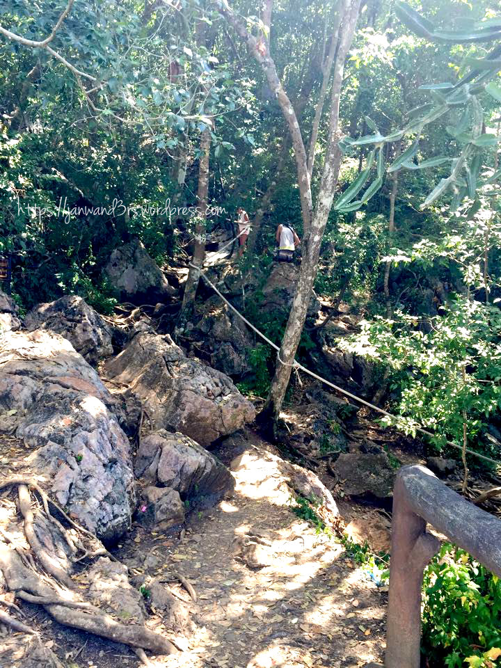 the trail going to the viewpoint