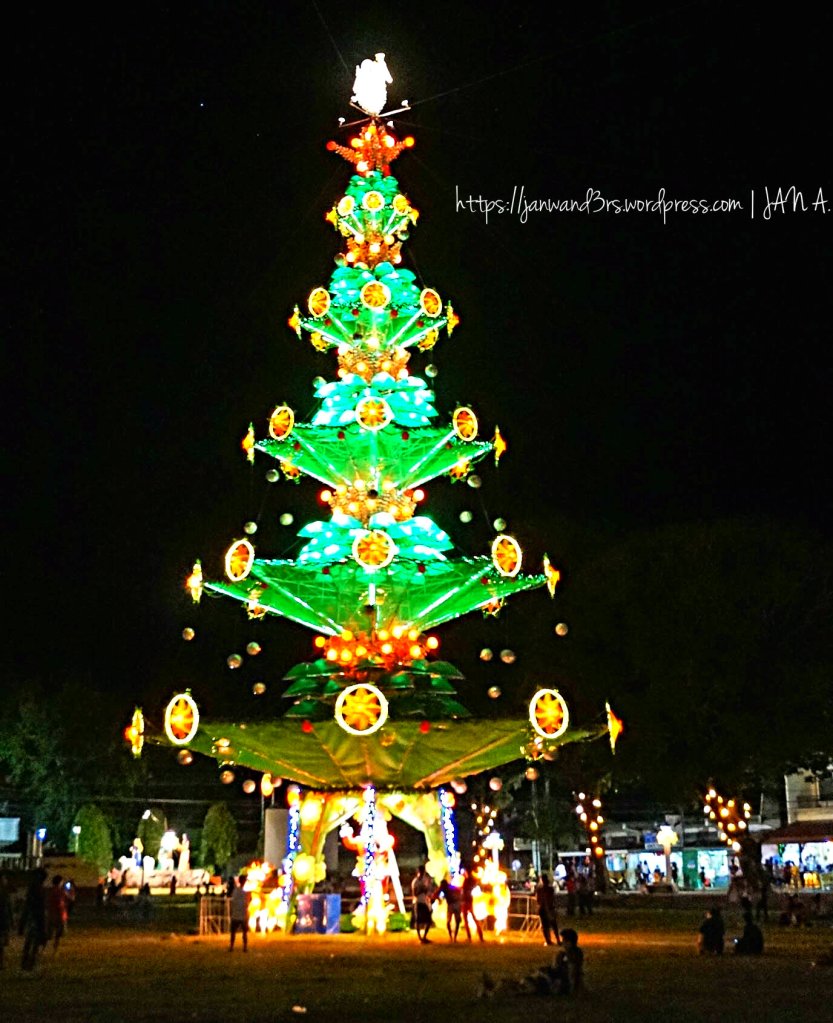 Christmas tree in Bais
