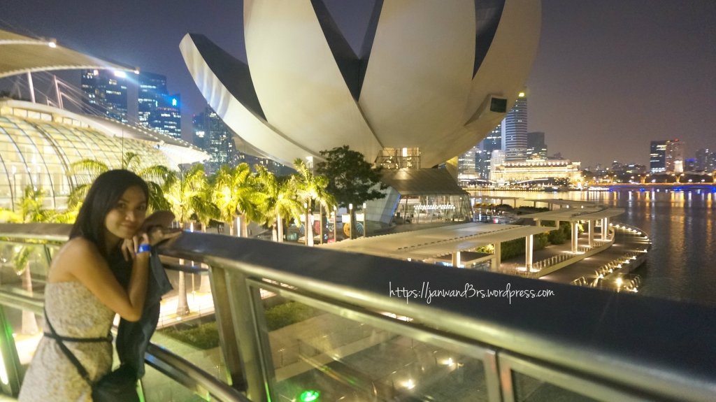 at the viewing platform of Helix Bridge