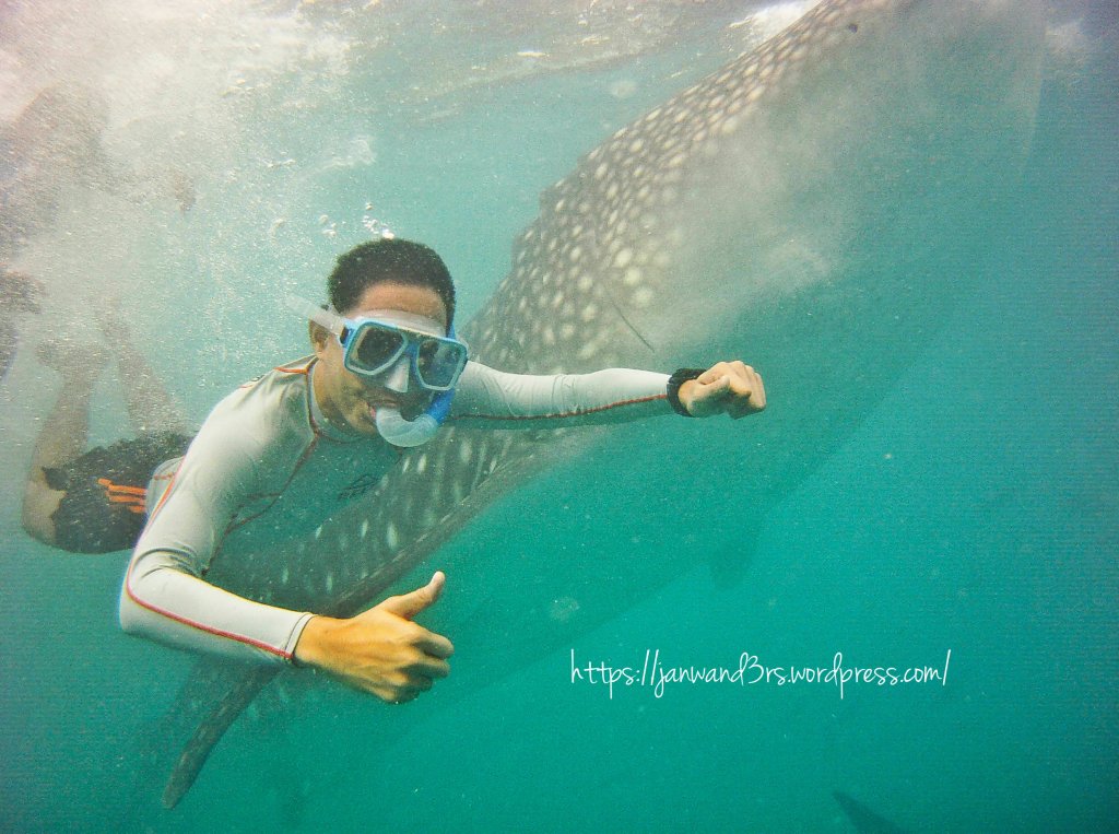oslob-cebu-whale-sharks-travel