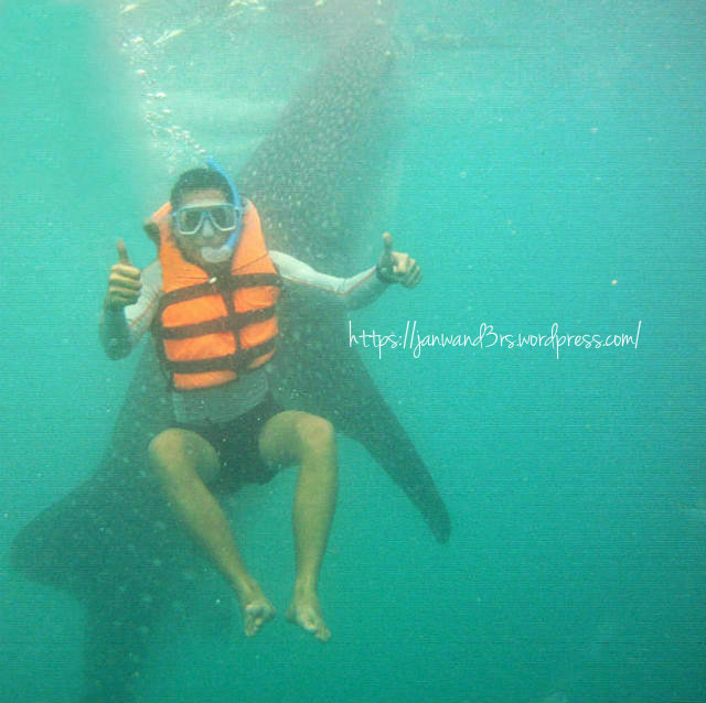 oslob-travel-cebu-whale-sharks