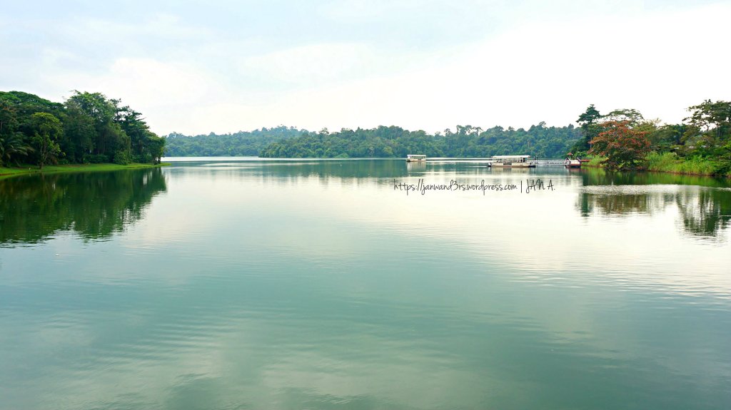 river-safari-sg-scenery