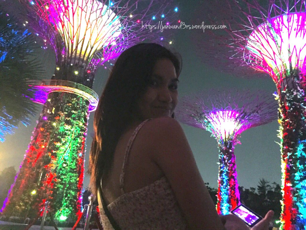 singapore-attractions-gardens-by-the-bay