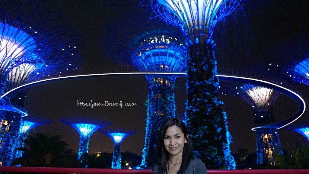 singapore-gardens-by-the-bay-supertree-indochine