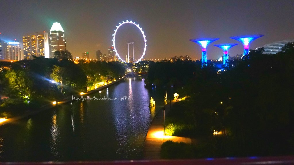 the Singapore Flyer from afar