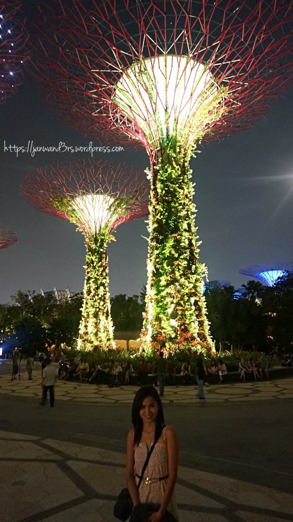 travel-singapore-gardens-by-the-bay