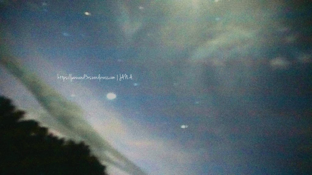 the night sky during the firefly river cruise