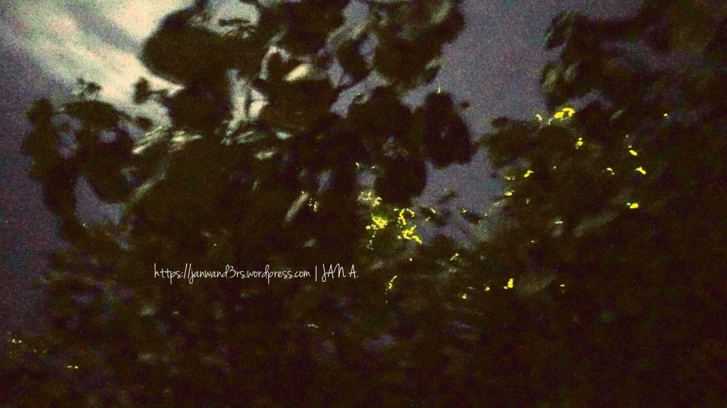 this was probably my most decent shot using just my Sony mirrorless cam. haha