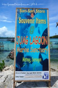 juag-lagoon-marine-sanctuary-matnog