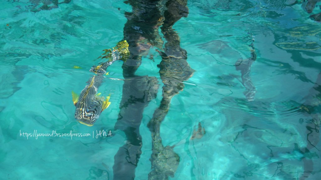 juag-lagoon-matnog-island-hopping