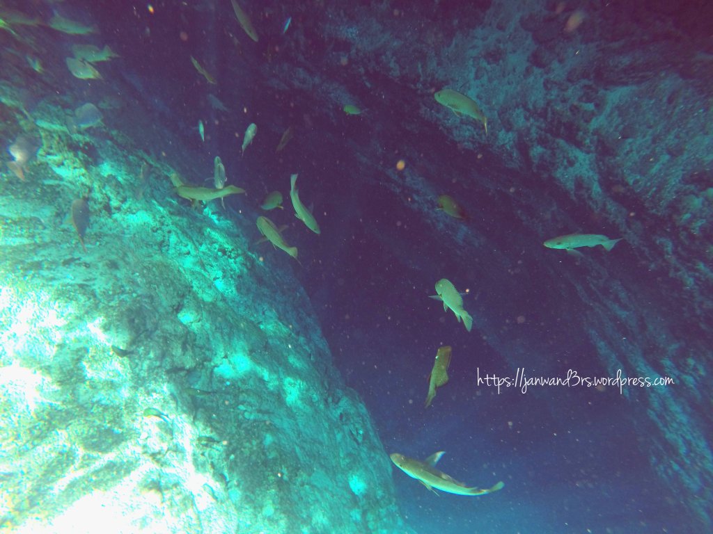 fishes-enchanted-river-surigao