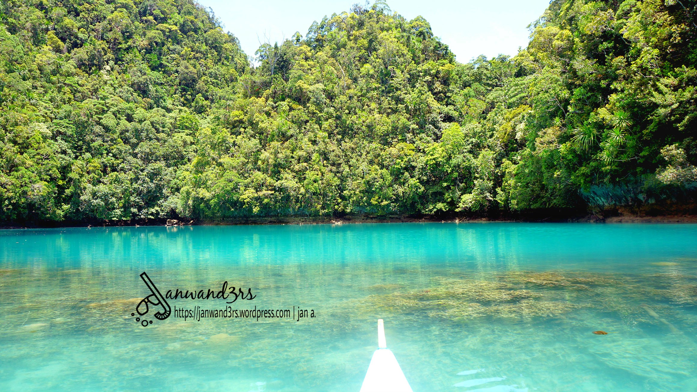 stingless-jellyfish-sanctuary-bucas-grande