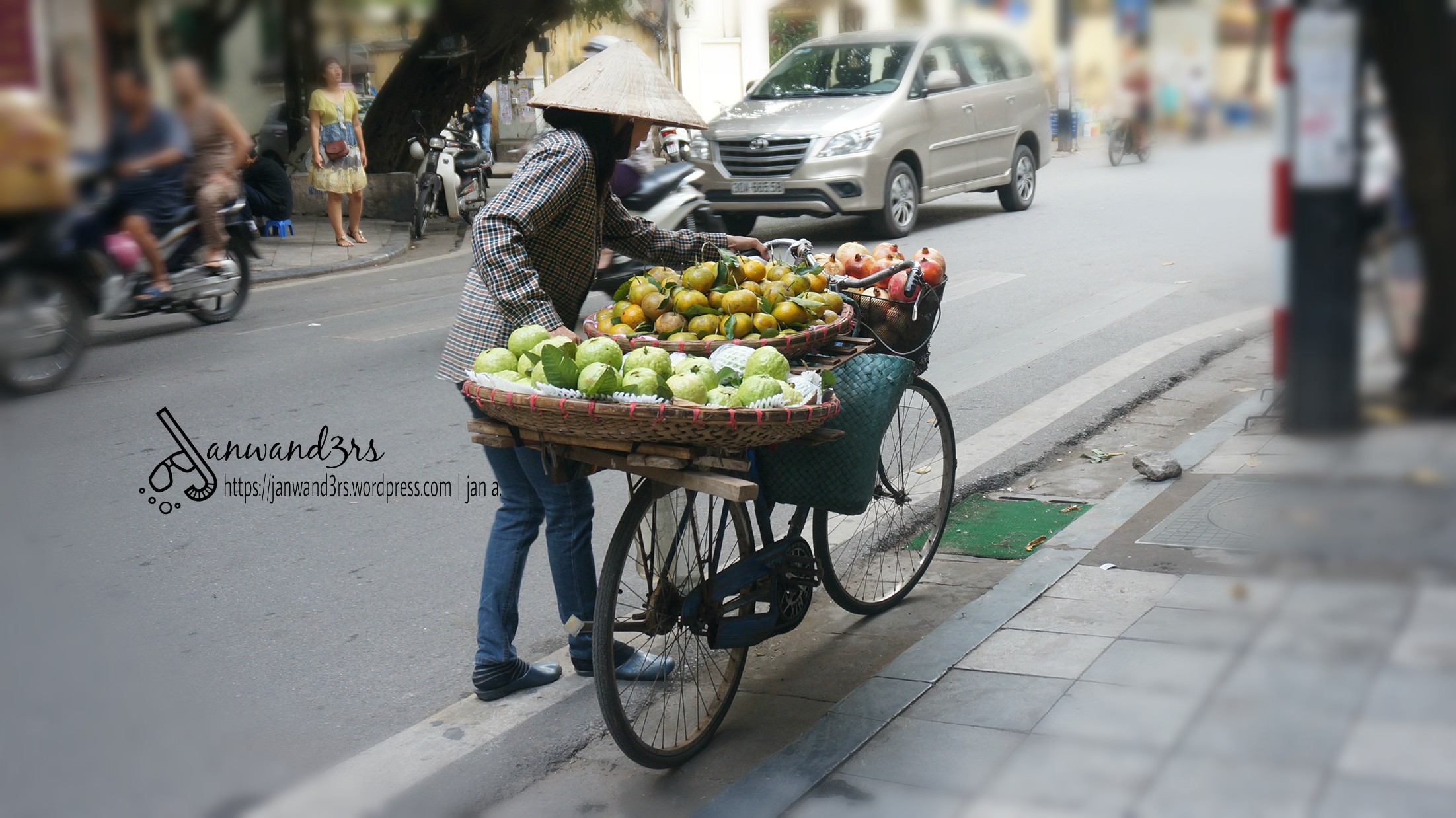 hanoi-street-fruit-vendor