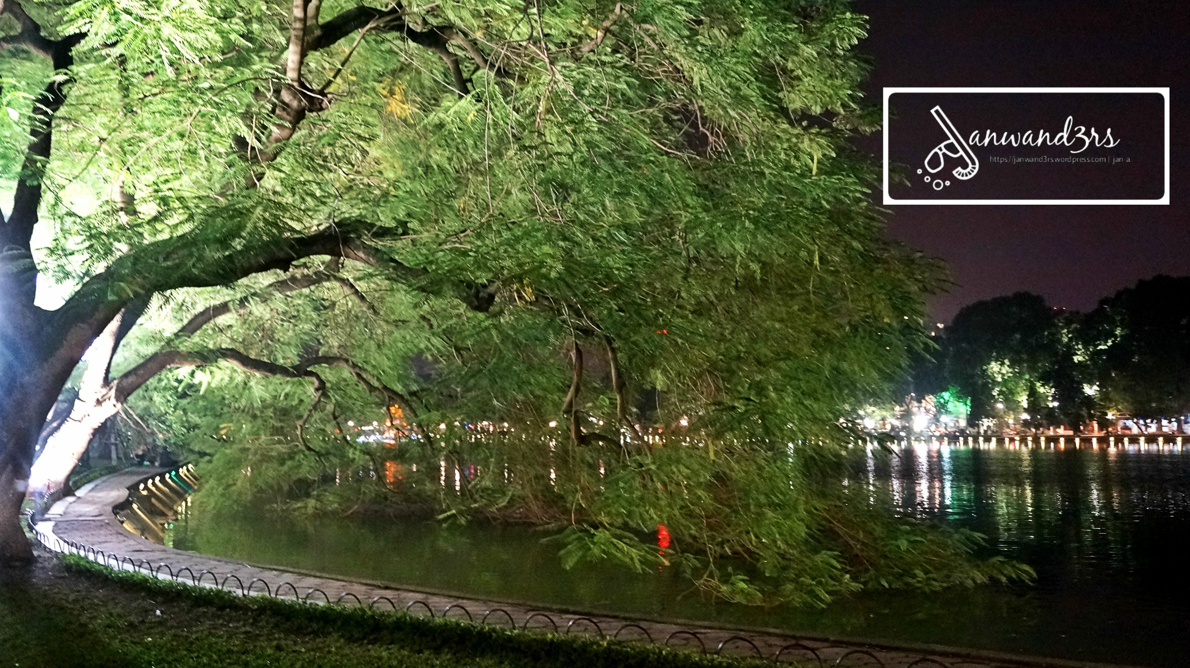 hoan-kiem-lake-tree