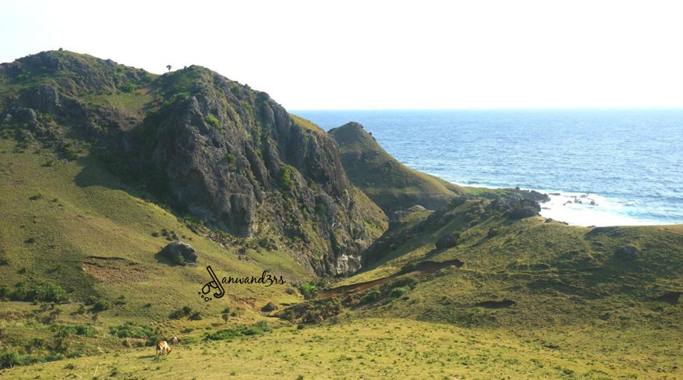 chamantad-tinyan-viewpoint-4